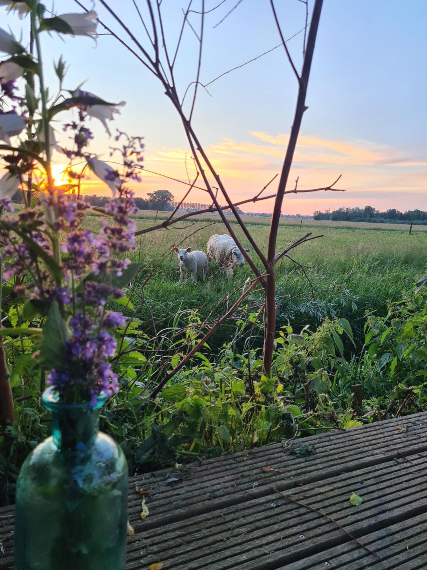 Cherry Cottage Schoonrewoerd Esterno foto